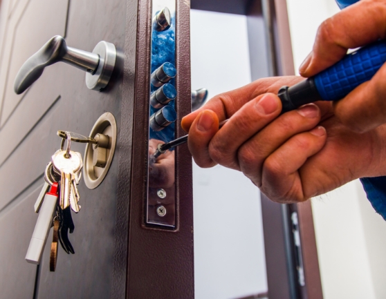 Professional Locksmith Services